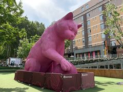 -西安电影制片厂