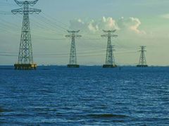 -宝安西湾红树林湿地公园