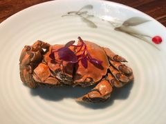 陈年花雕醉蟹-鱼食饭稻·苏浙土菜17年老馆子(平江路店)