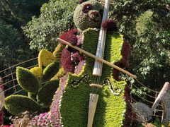 -杭州植物园