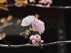 -堤角公园