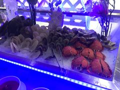 -339旋转餐厅(天府熊猫塔店)