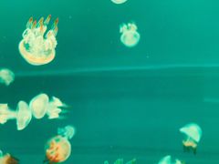 -多彩贵州城极地海洋世界