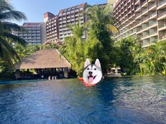 -三亚湾海居铂尔曼度假酒店