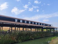 -良渚古城遗址公园