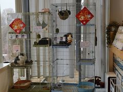 -猫的天空之城概念书店(北戴河蔚蓝海岸店)