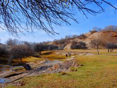 -塞罕坝国家级自然保护区