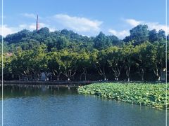 -北山街历史文化街区
