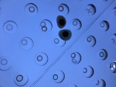 -miomi米欧米隐形眼镜(领展购物广场·中关村店)