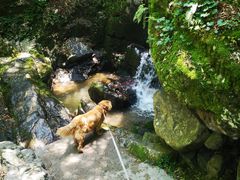 -藏龙百瀑风景区