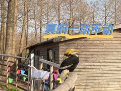 -宁波杭州湾国家湿地公园