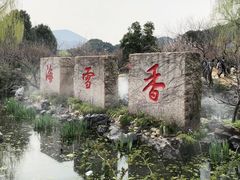 -香雪海