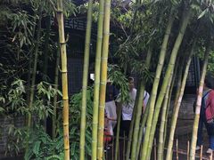 -王家大院