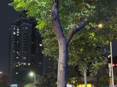 -叁宝烤肉• 西安烧烤(高科新花园店)