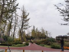 -府河摄影公园
