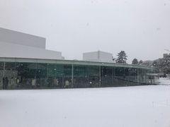 -金泽21世纪美术馆