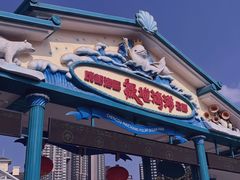 -海合安成都极地海洋公园