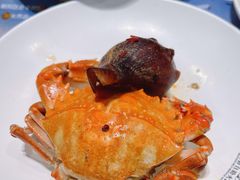 -初色海鲜自助(万丰路店)
