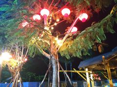 -三亚海昌梦幻海洋不夜城