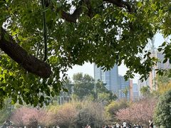 -武汉大学-樱园