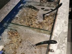 -火锅岛潮牌自助餐厅(天津天佑城店)