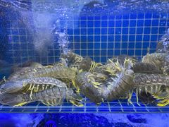 -方记海鲜大排档(乐山形象店)