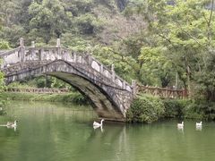 -靖西鹅泉风景区