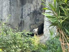 -石排湾郊野公园