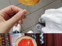 -香山公园
