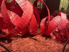 -麻六记(凤凰汇店)