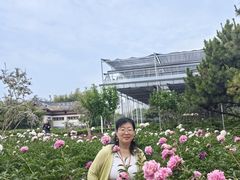 -洛阳市隋唐城遗址植物园