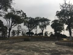 -上海滴水湖皇冠假日酒店