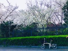 -南京国际会议大酒店