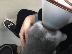 -贝利宠物医院·骨科·眼科·肿瘤转诊中心(南坪诊疗中心)