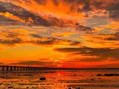 -宝安西湾红树林湿地公园