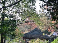 -上海方塔园