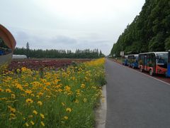 -上海长兴岛郊野公园