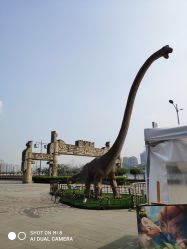 -恐龙探索乐园(磁器口店)