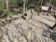 -上海佘山国家森林公园天马山园