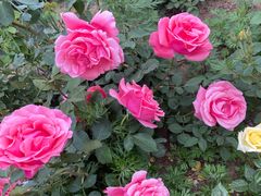 -北京西山国家森林公园