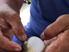 -小猫钓鱼海钓俱乐部(椰梦长廊店)