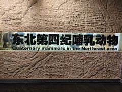 -大庆市博物馆