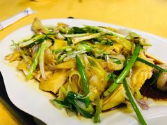 -鸽王世家(东华东路店)
