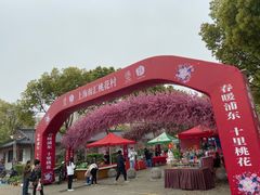 -南汇桃花村