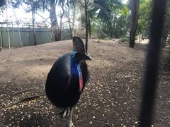 -费瑟代尔野生动物园