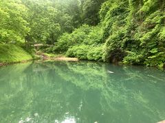 -天女山森林公园
