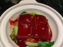 -蝶园·装修中(BFC外滩金融中心店)