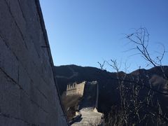 -天源渔港农庄