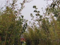 -西安世博园