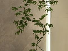 -上海圣淘沙万怡酒店